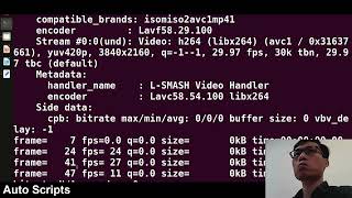 FFmpeg Tutorial Delete audio from any video using FFmpeg command with ease [upl. by Aicetel]