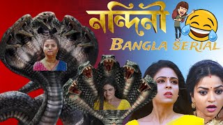 লেওরাবাজি Review  Nandini Bangla Serial Review [upl. by Acirtal]