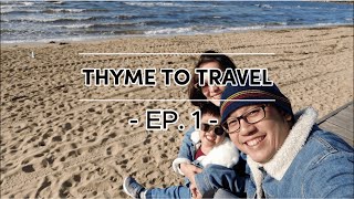 Thyme to Travel EP1  Werribee Open Range Zoo SEA LIFE Melbourne Aquarium and ST Kilda Beach [upl. by Mather]