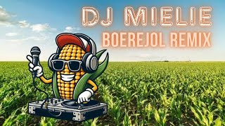 Boerejol  Die Ventertjies Kosie Beukes amp Kannie Warries Dansorkes DJ MIELIE REMIX [upl. by Meyers704]