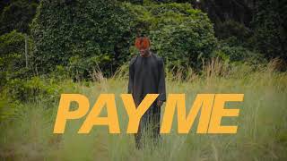 Oxlade  Pay Me Visualizer [upl. by Noinatrad]