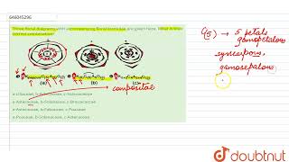 Three floral diagrams with accompanying floral formulae are given here What is their correct co [upl. by Nnaillij548]