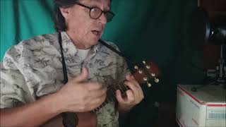 Its Forty Miles From Schenectady To Troy ukulele cover [upl. by Griffie998]