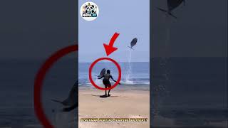 Blackman Shocks the World by Hunting Jumping Dolphins amazing movie [upl. by Amble]