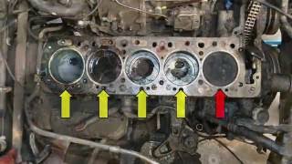 Mercedes W123 Head Gasket  How to Replace Pelican DIY Tech [upl. by Neral]