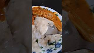 Paal Kappa recipe  keralafood youtubeshorts cooking shortvideo kappa [upl. by Pinelli]