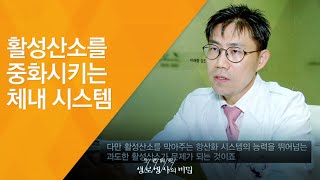 활성산소를 중화시키는 체내 시스템  2014716509회 방송유병장수 시대 활성산소를 조절하라 [upl. by Olraced]