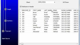 Import Excel data to DBF dBase FoxBase FoxPro [upl. by Notsnhoj]