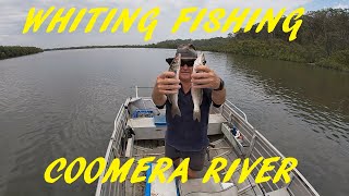 COOMERA RIVER WHITING 15TH DEC 2023 [upl. by Leinahtan334]