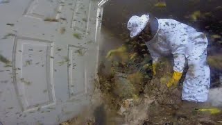 Exterminator Uses GoPro to Show What It’s Really Like Removing Hornets’ Nest [upl. by Kcirb830]