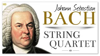 Bach String Quartet  The Art Of Fugue  Baroque Chamber Classical Music [upl. by Waverley]