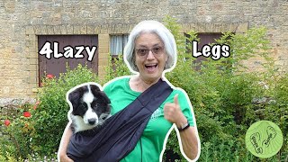 How to carry your puppy Review of 4 Lazy Legs Pet Carrier [upl. by Meldoh543]