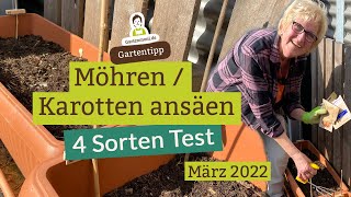 4SortenTest Karotten  Möhren ansäen im März  Karotten im Kübel anbauen [upl. by Issie]