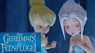 DAS GEHEIMNIS DER FEENFLÜGEL  Auf Disney Bluray und DVD  Disney [upl. by Retsof516]