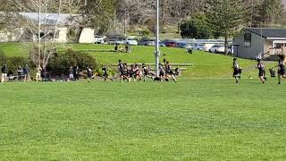 Try vs Wellsford [upl. by Jefferson]