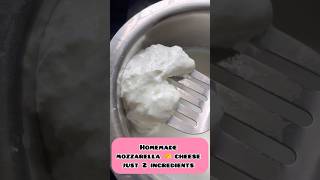 Mozzarella cheese 🧀 making just 2 ingredients cheese manamwithsathya ytshort [upl. by Oicnanev]