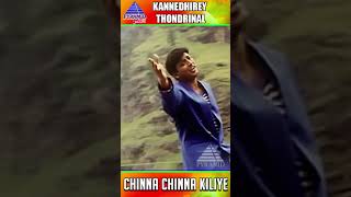 Chinna Chinna Kiliye Video Song  Kannedhirey Thondrinal Movie Songs  Prashanth  Karan  ytshorts [upl. by Ranique]