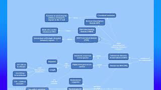 Brief Introduction to Telomerase Part 1 [upl. by Jahdol]