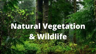 natural vegetation and wildlife class 9 ll NCERT  Social science by Deepak sir [upl. by Annuahs]