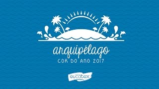 Cor do Ano 2017  Tintas Eucatex [upl. by Douglas]