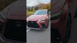 Couleur à vomir ou un grand WOW Lexus NX 450h [upl. by Sadick]