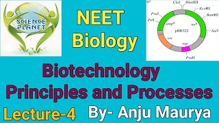 Biotechnology Principles and Processes Lecture4 By Anju Maurya [upl. by Fihsak]