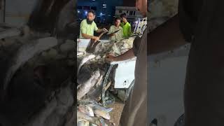 Mix Fishs kingoffishri fish fishing karachicity [upl. by Sitelc629]