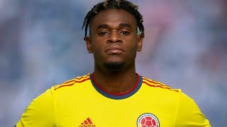 Duvan Zapata ● Best Goals amp Skills 🇨🇴 [upl. by Thinia]