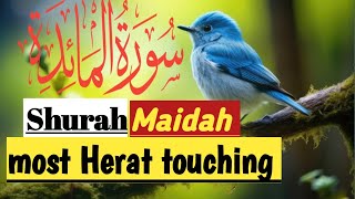 Shurah Al maidahRashid alafasy mishary The Most Touching Recitation of Surah Al Maidah [upl. by Katya280]