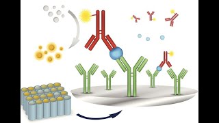 Understanding Immunoassay Analyses  Principles and Applications 4 Minutes Microlearning [upl. by Cicily]