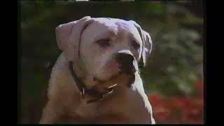 Homeward Bound 1993 on VHS Commercial  December 16 1993 [upl. by Naujat]