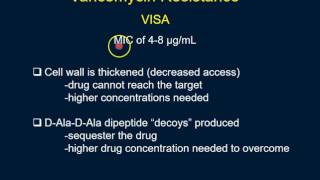 Vancomycin [upl. by Ruosnam]