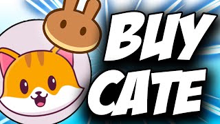 Cate Coin Crypto CATE Token ✅ How to Buy CateCoin Token CATE Crypto on Pancakeswap [upl. by Fesuy715]