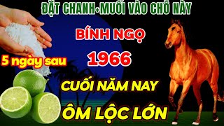 THẦY TỬ VI PHONG THỦY MÁCH BÍNH NGỌ 1966 LÀM NGAY VIỆC NÀY ĐÚNG 5 THÁNG CUỐI NĂM ÔM LỘC TRÚNG LỚN [upl. by Eelsel326]