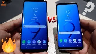 Samsung Galaxy S9 Vs Galaxy S9  The Main Differences [upl. by Cordi]