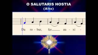 O28b O Salutaris Hostia Alto  for OLMGrand Choir [upl. by Eselehs]