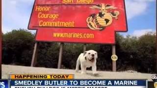 KGTV  ABC 10  Smedley Butler to become a Marine [upl. by Analeh]