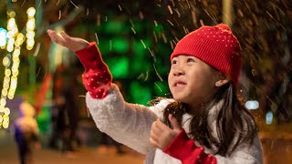 North Pole Nights at Gilroy Gardens Family Theme Park [upl. by Eanerb290]