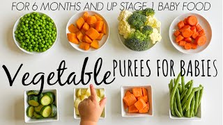 8 VEGETABLE PUREE for babies 6 months and up [upl. by Orrocos]