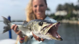 Catching MONSTER BARRACUDA Deep Sea Fishing with Fans [upl. by Laurena]