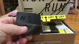 GPS for Dogs comparison Whistle Fi and Tractive [upl. by Yeargain]