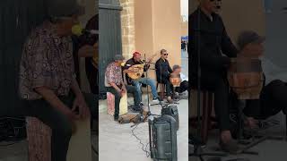 Street musicians in Essaouira Morocco [upl. by Enirak32]