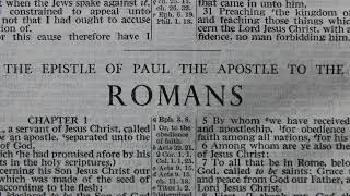 Audio KJV  Romans  Chapter 14 [upl. by Aralk]