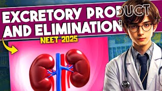 Excretory Products and Eliminations ONE SHOT Revision  Human Physiology ONE SHOT  NEET Biology [upl. by Hannala]