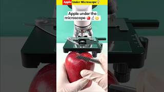 Apple Under Microscope😱 shorts youtubeshorts shortvideos [upl. by Yornek]