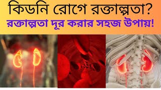 কিডনি রোগীদের অ্যানিমিয়া দূর করার ৫ টি সহজ উপায়  Anemia in Kidney Disease What You Need to Know [upl. by Pressman]