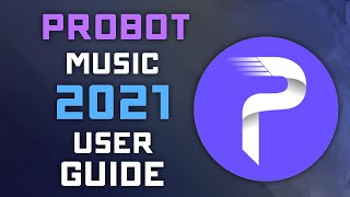 Playing Music with ProBot  2021 User Guide  Discord Music Bots [upl. by Phil]