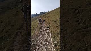 WEG ZUR KAMPENWAND GIPFEL kampenwand gipfel hiking nature bayern alpen wandern [upl. by Harwin33]