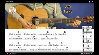 Kleine Meise Kinderlied mit 3 Akkorden und Text für Gitarre [upl. by Arammahs]