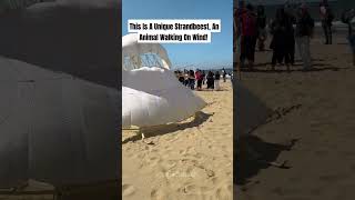 Strandbeest wonderful sculpture sculpture sciencefacts facts sculpting physics [upl. by Hgalehs734]